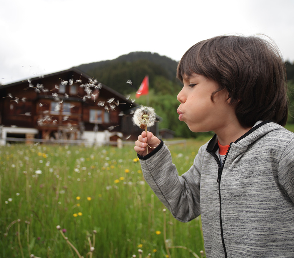 boy blowing dandelion fluff